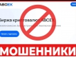 Квашонкин, Лихунов, Мачихин, Менделеев, Расулов… Ландромат ABCeX сдаёт всех