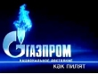 «Петон» выводит за кордон. Как срывает сроки запуска объектов, офшорит и бесится с жиру подрядчик «Газпрома»